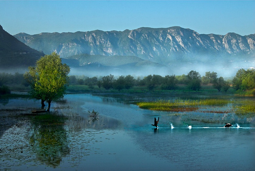 On lake Skadar